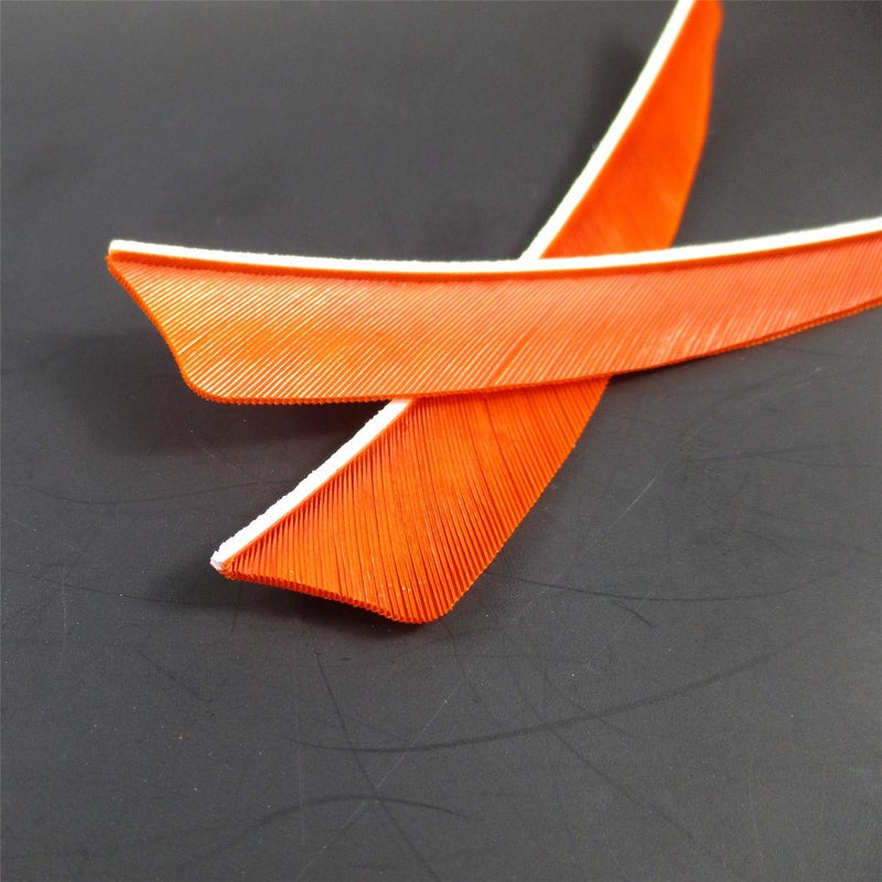 Letszhu Archery Arrows Feather Fletching 4 Inch Real Turkey Vanes for Hunting Target Shooting (25 Pack) (Orange) - Image 3